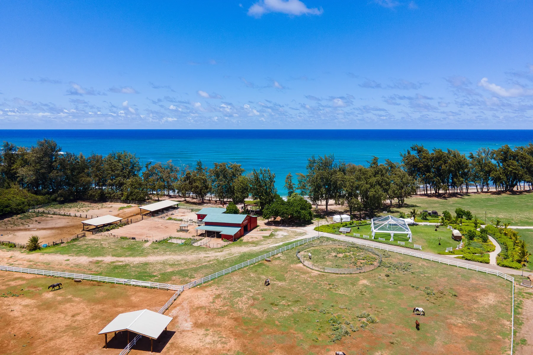 Aerial view of a coastal park with open fields, trees, and the ocean beyond.
