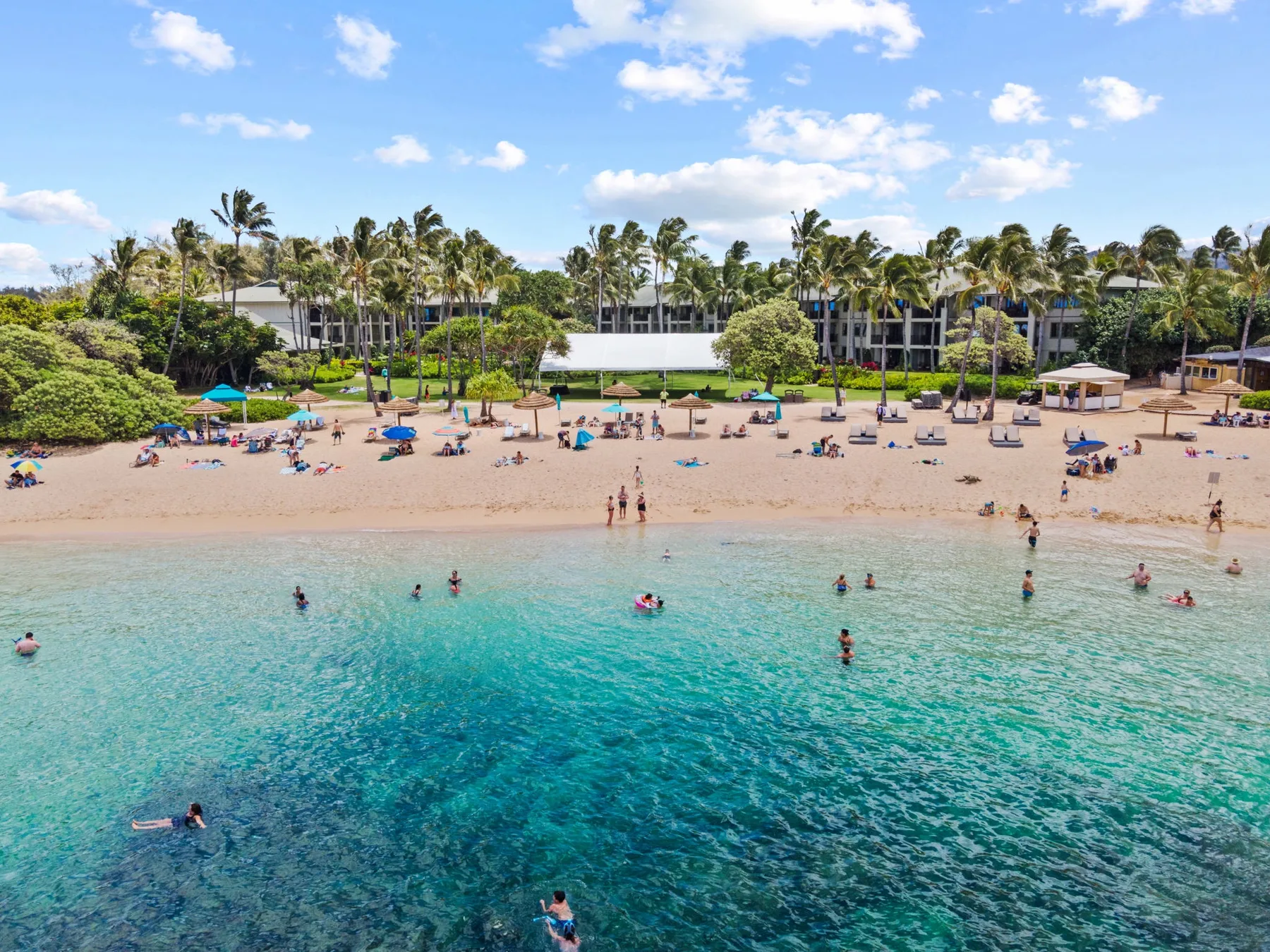 A tropical beach with palm trees, sandy shore, and swimmers in clear water.