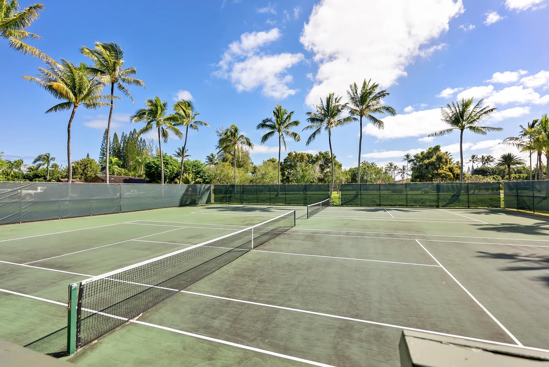 An outdoor tennis court with palm trees and a clear blue sky.