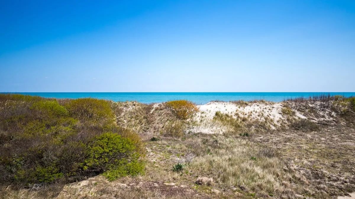 Dunas costeras con vegetación baja frente al mar bajo un cielo azul despejado.