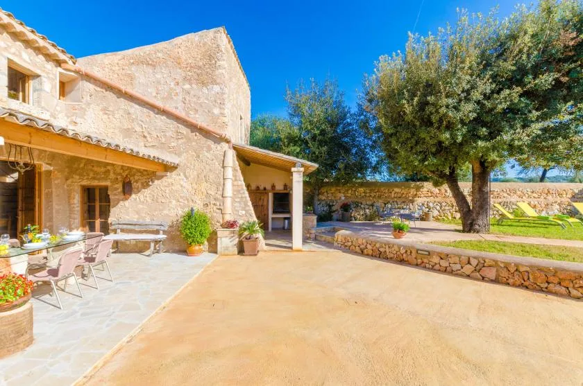 Un patio de piedra soleado con asientos al aire libre y un árbol grande.