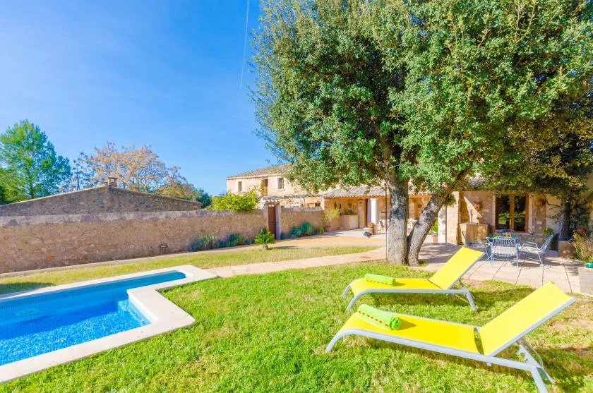 Un patio soleado junto a la piscina, con tumbonas coloridas bajo un gran árbol.
