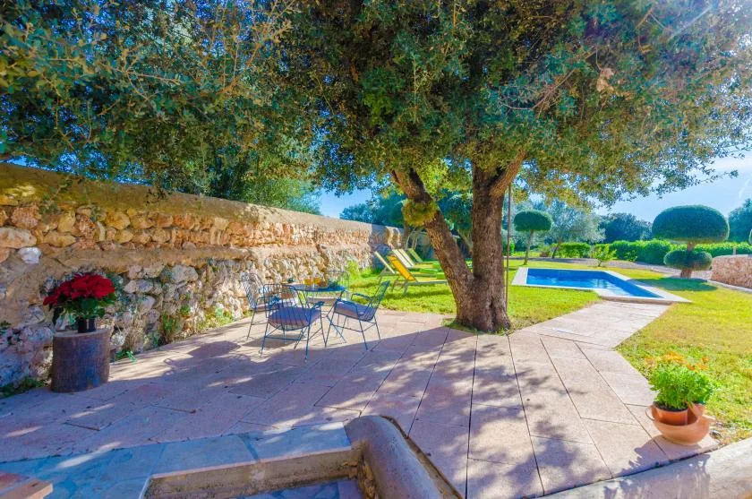 Un patio pavimentado bajo un árbol grande, con asientos y una piscina cerca.