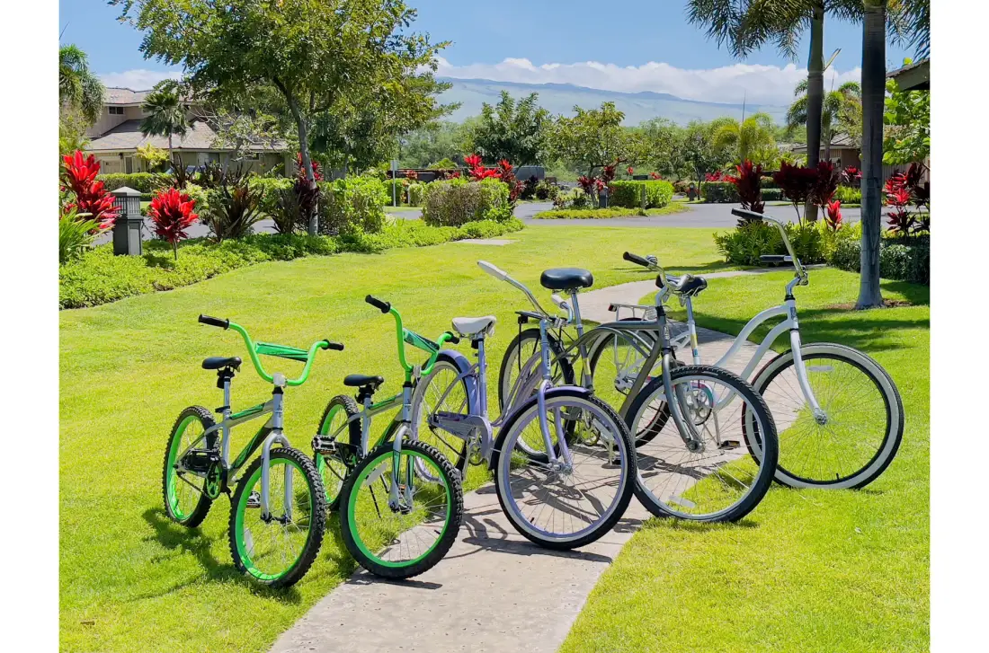 Several bicycles are parked beside a paved path in a landscaped garden.