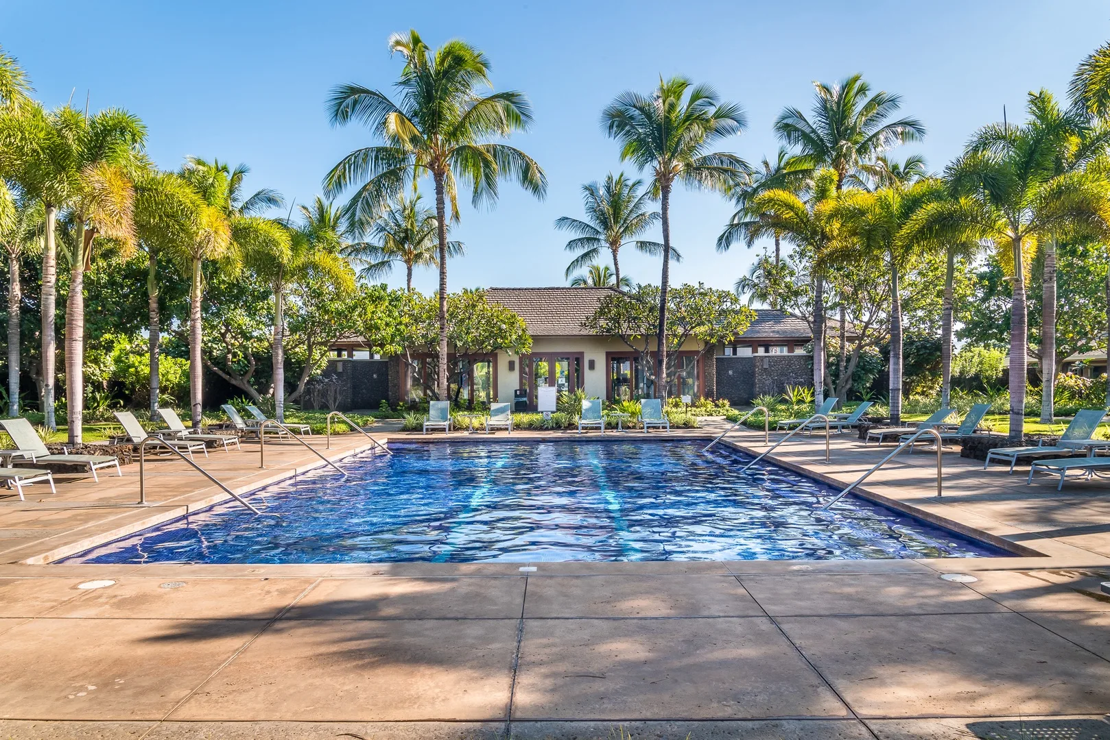 An outdoor swimming pool is surrounded by lounge seating and palm trees.