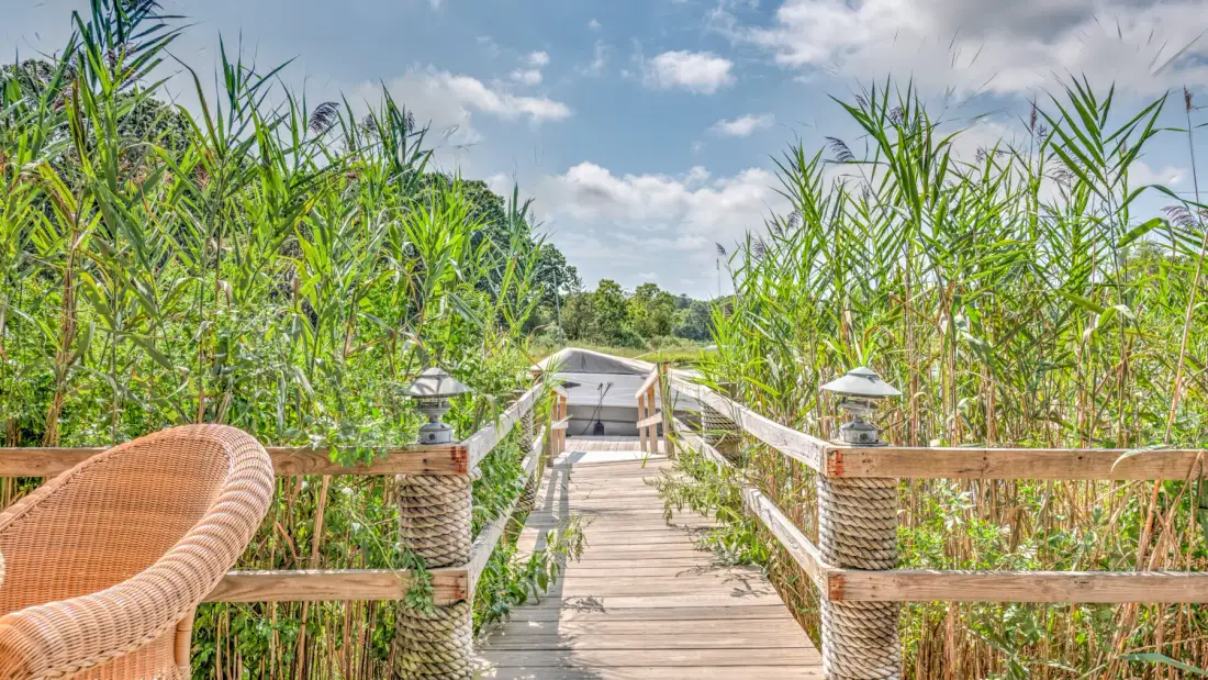 A wooden walkway runs through tall greenery under a partly cloudy sky.