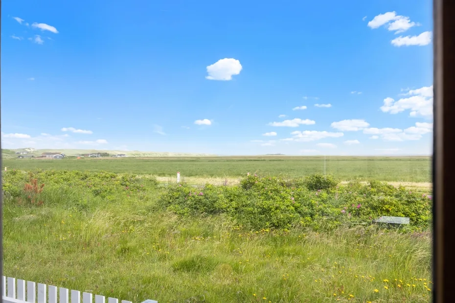 A wide grassy field with low shrubs beneath a blue sky.