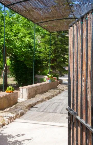 A garden walkway passes between leafy shrubs and a low planter beneath a shaded canopy.
