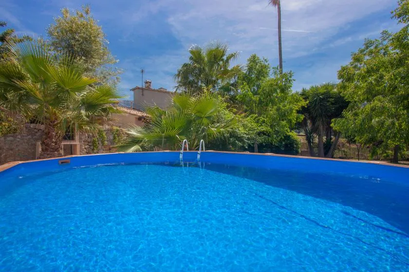 A blue swimming pool is surrounded by palm trees and greenery.