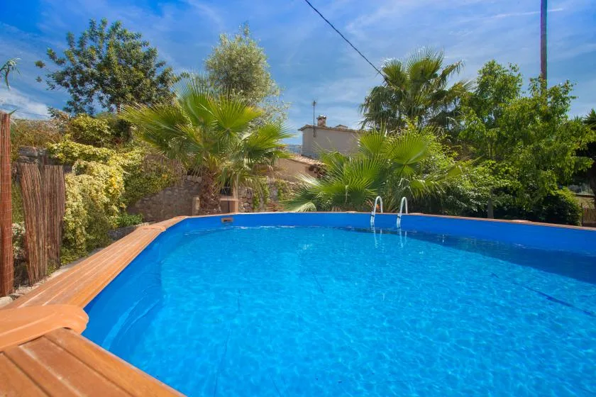 An outdoor swimming pool surrounded by leafy trees and other greenery.