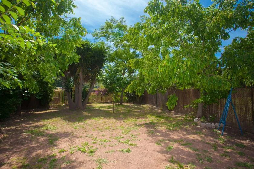 A shaded garden with leafy trees and a patch of open ground.