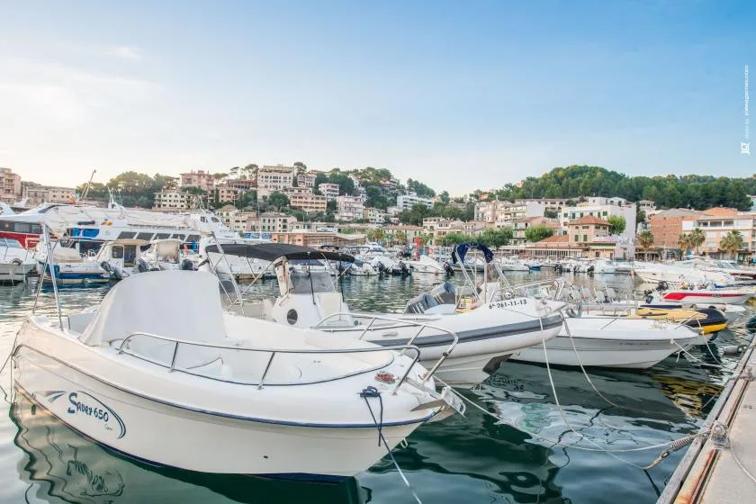 A marina filled with moored boats, with waterfront buildings and green hills in the background.