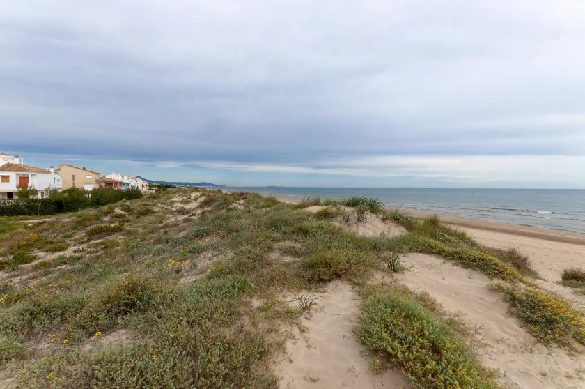 A sandy coastal path crosses low dunes beside the beach and sea.