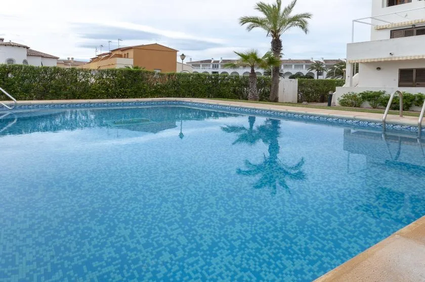 An outdoor swimming pool bordered by hedges and residential buildings.