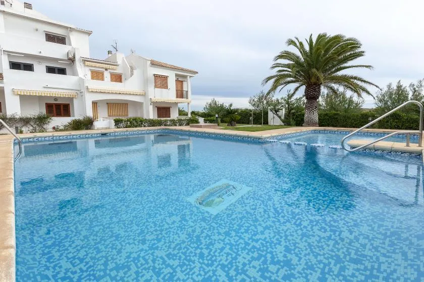 A swimming pool sits beside white buildings and a palm tree.