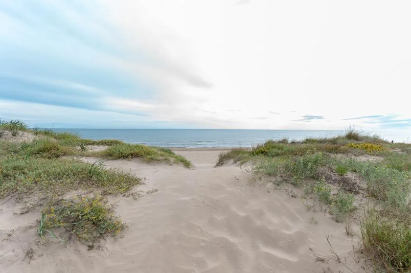 A sandy path between coastal dunes leads toward the ocean.