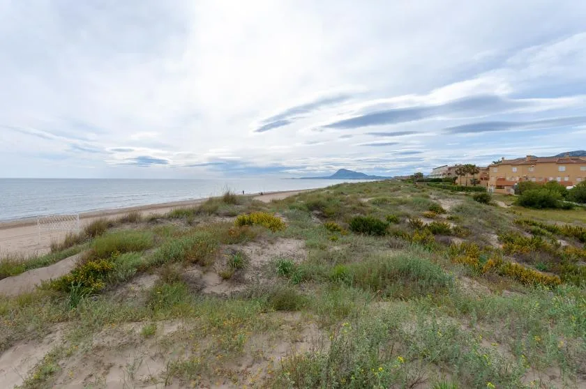 A coastal beach and grassy dunes stretch toward low-rise buildings under a cloudy sky.