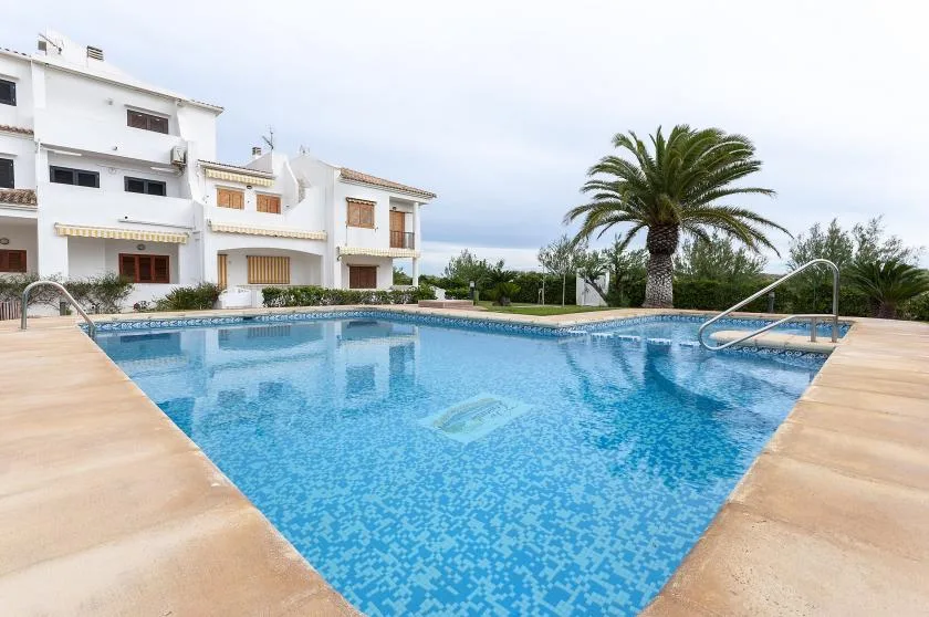 An outdoor swimming pool beside white buildings, with a palm tree nearby.