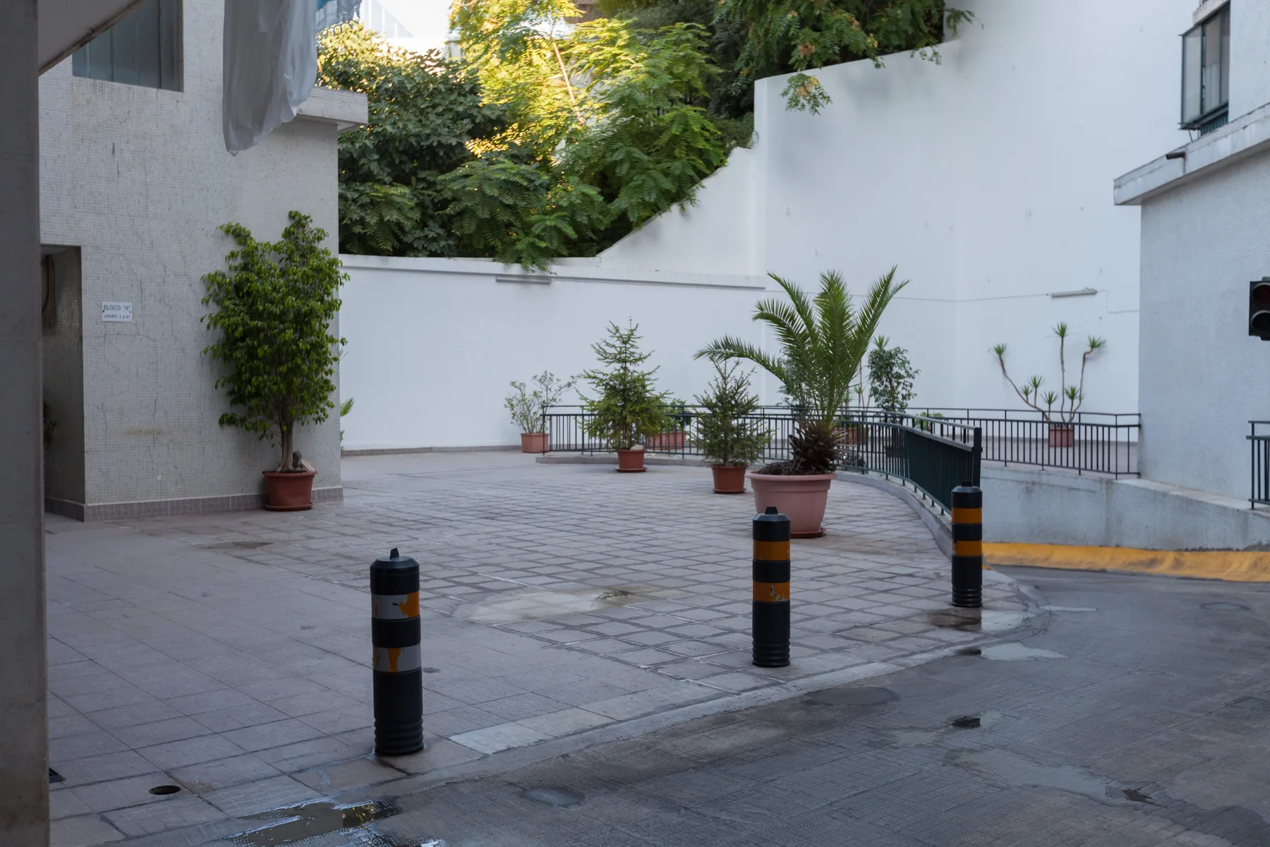 A paved courtyard with potted plants and greenery along the walls.