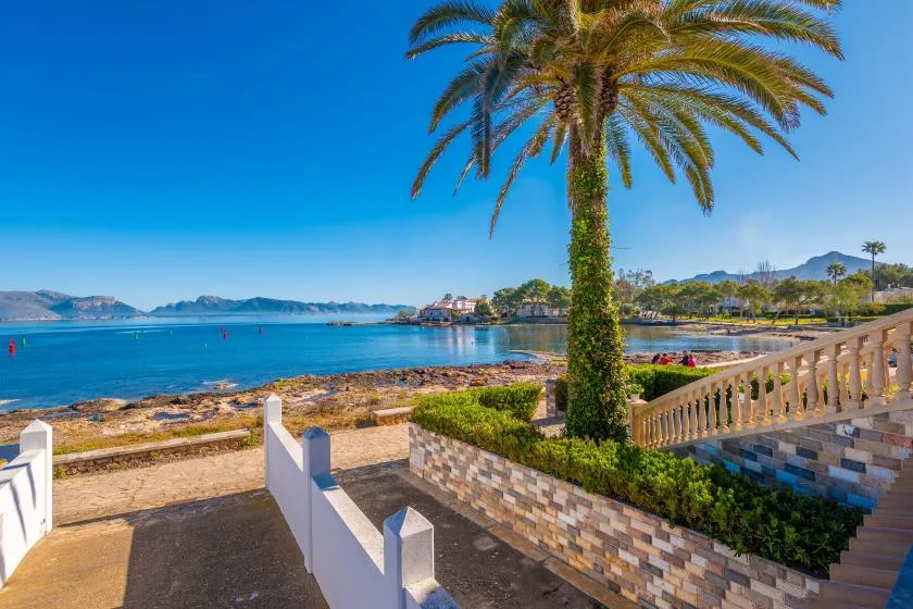Una terraza junto al mar mira hacia aguas azules, con una palmera junto a la barandilla.