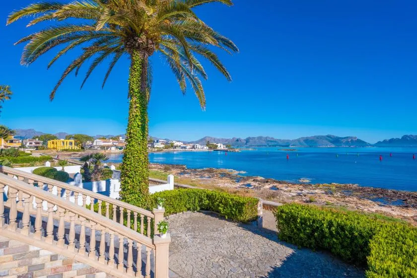 Una terraza junto al mar mira hacia una bahía azul, con una palmera y colinas lejanas.