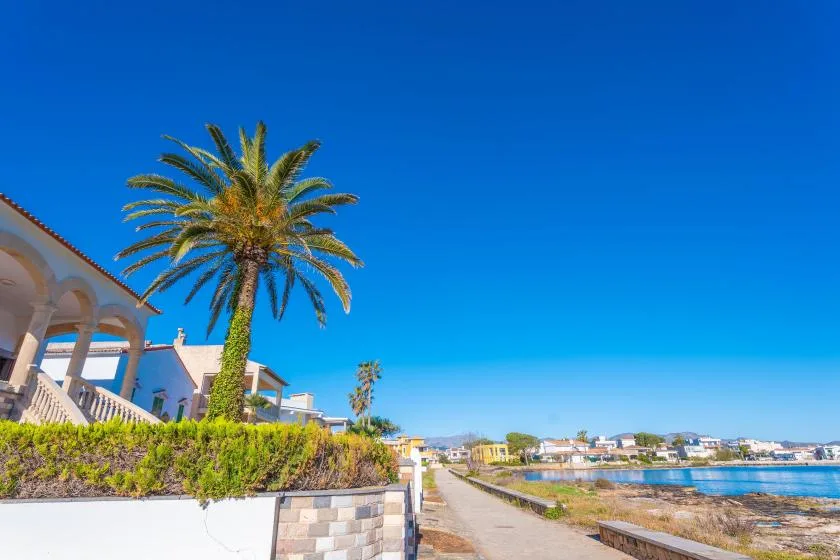 Un paseo costero soleado pasa junto a casas, vegetación y una palmera, junto al agua.