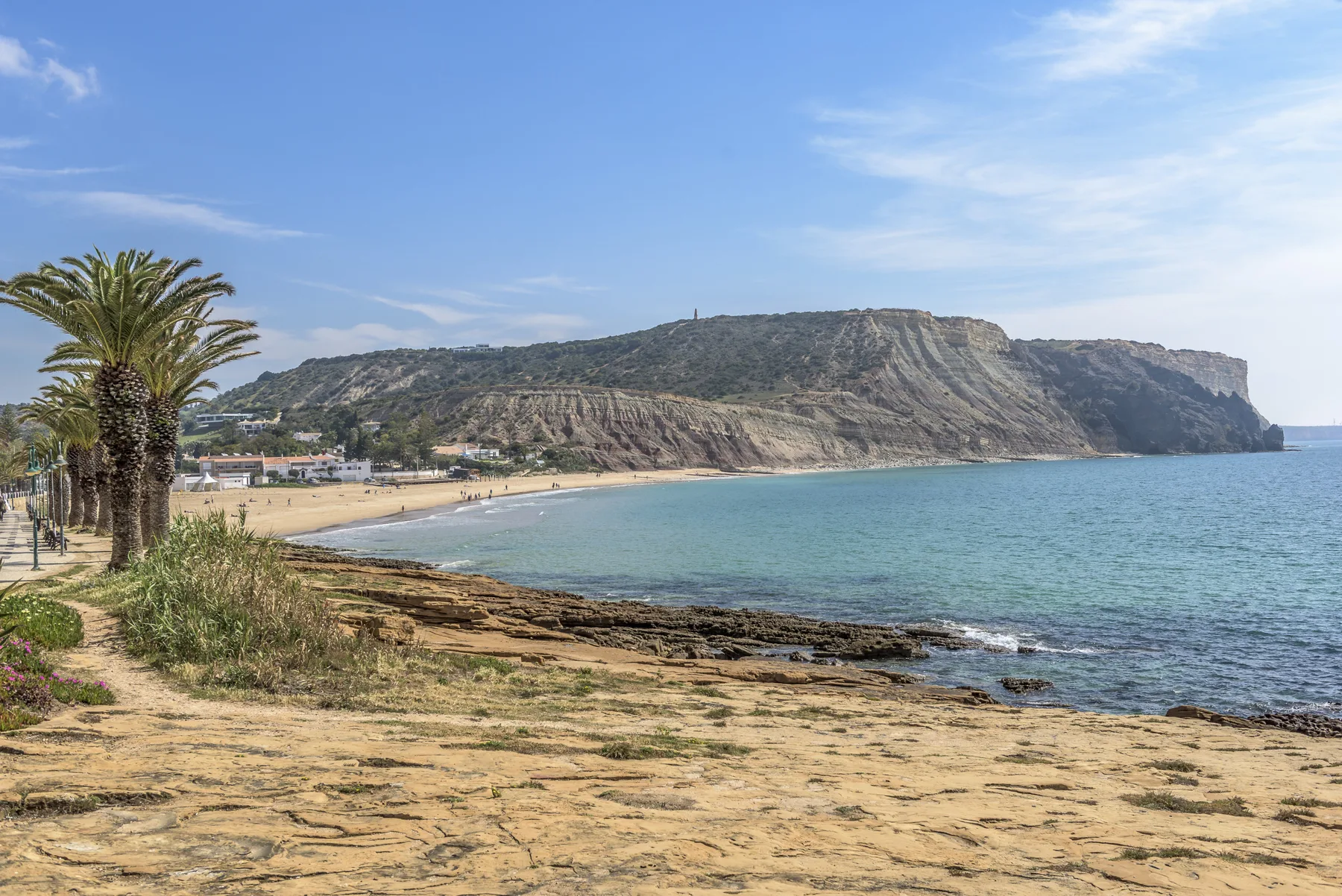 Escena de playa costera con paseo bordeado de palmeras, orilla rocosa y amplio acantilado.