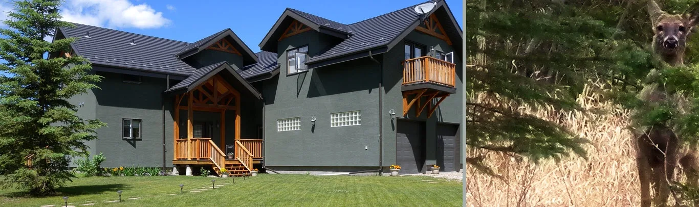Exterior de Timber Green Bed & Breakfast