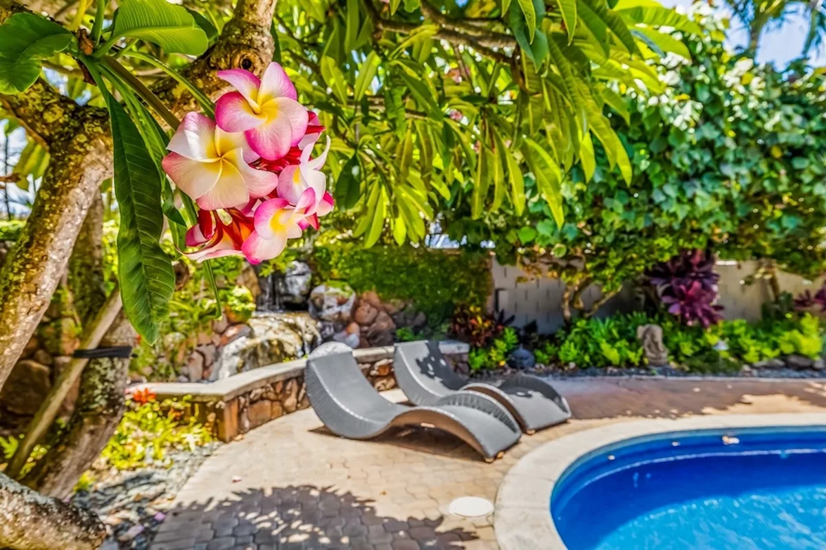 Una zona ajardinada junto a la piscina, con asientos curvos bajo árboles en flor.