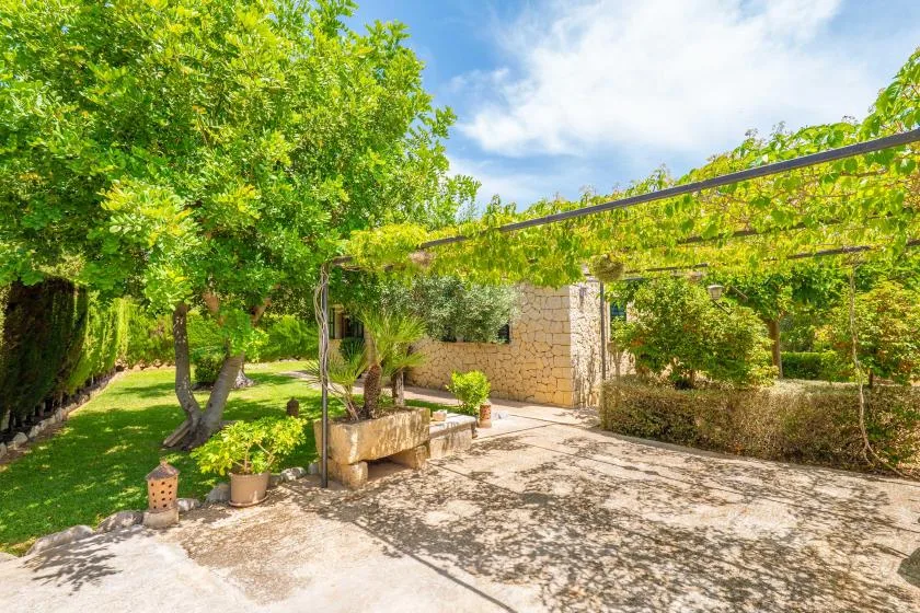 Un patio de jardín frondoso con un muro de piedra y una cubierta de enredaderas.