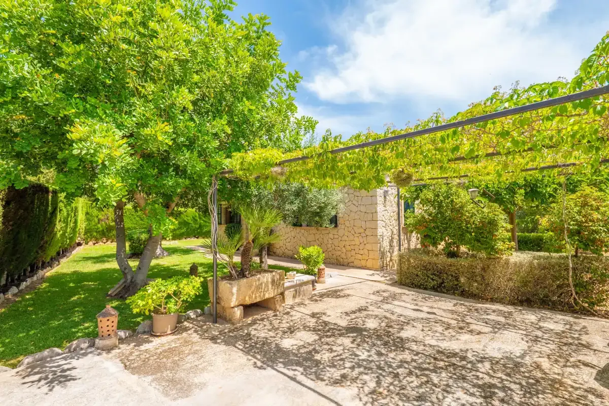 Un patio ajardinado y soleado con árboles frondosos, arbustos y un muro de piedra.