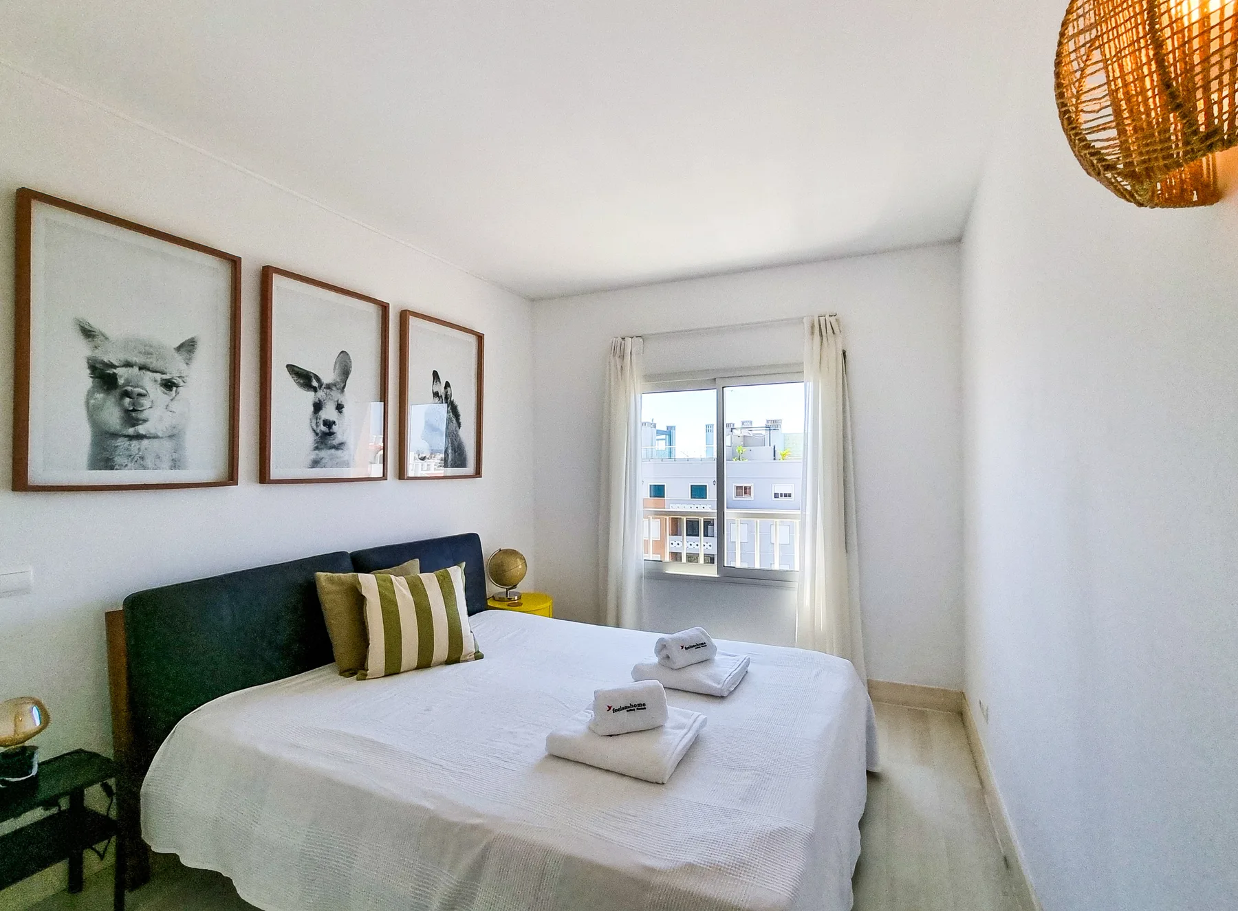 A bright bedroom with a bed, framed animal prints, and a window.