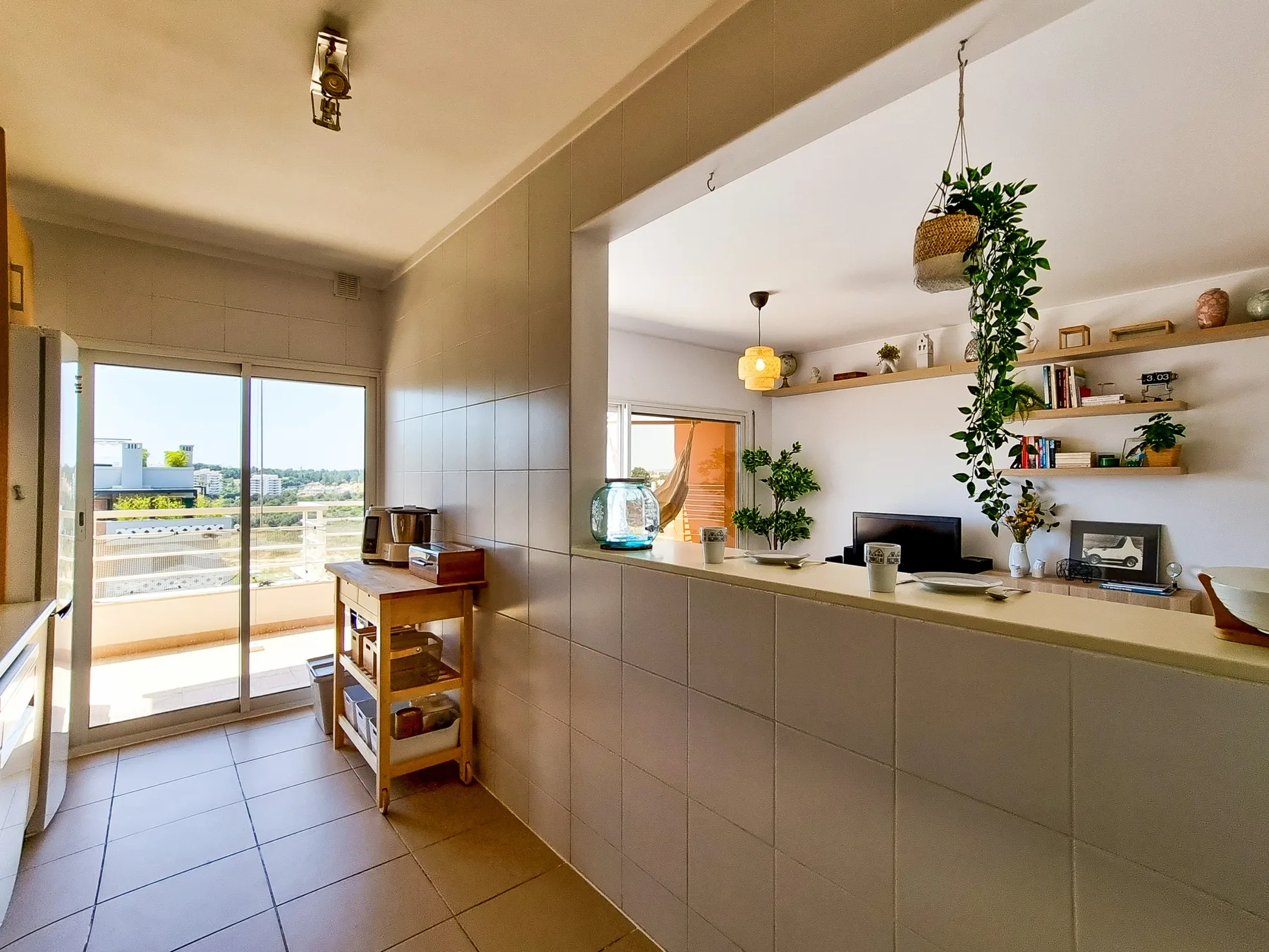 A kitchen counter opens toward a living area, with shelves and a television.