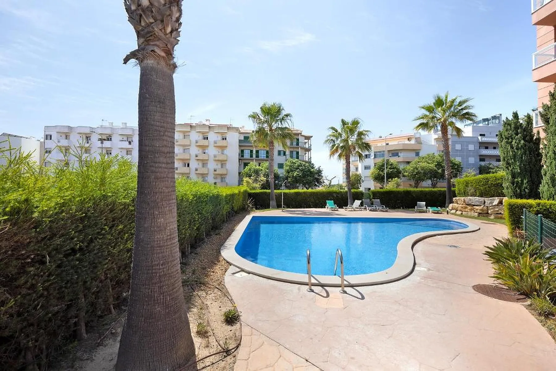 An outdoor swimming pool is surrounded by a paved deck, hedges, and palm trees.