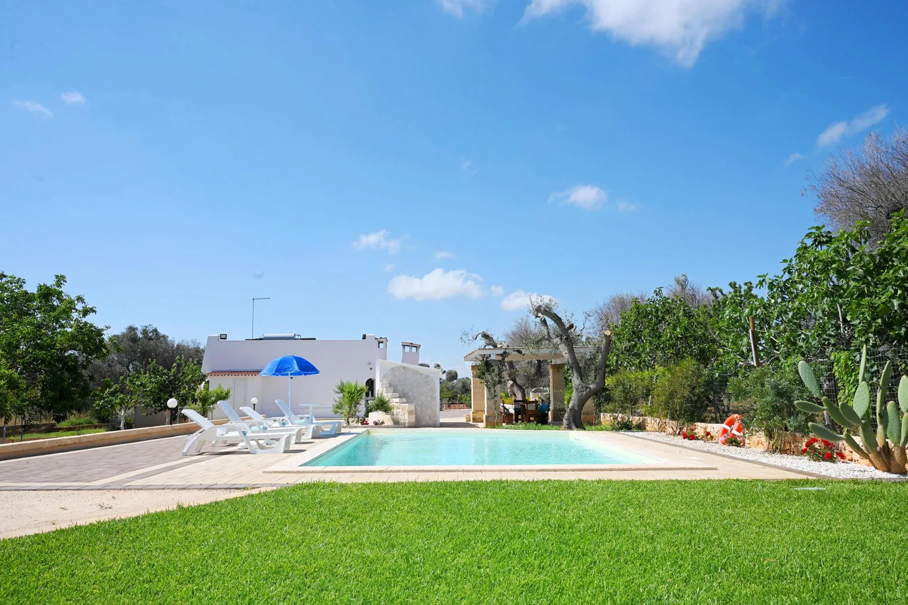 An outdoor swimming pool beside a green lawn, with lounge seating and an umbrella.