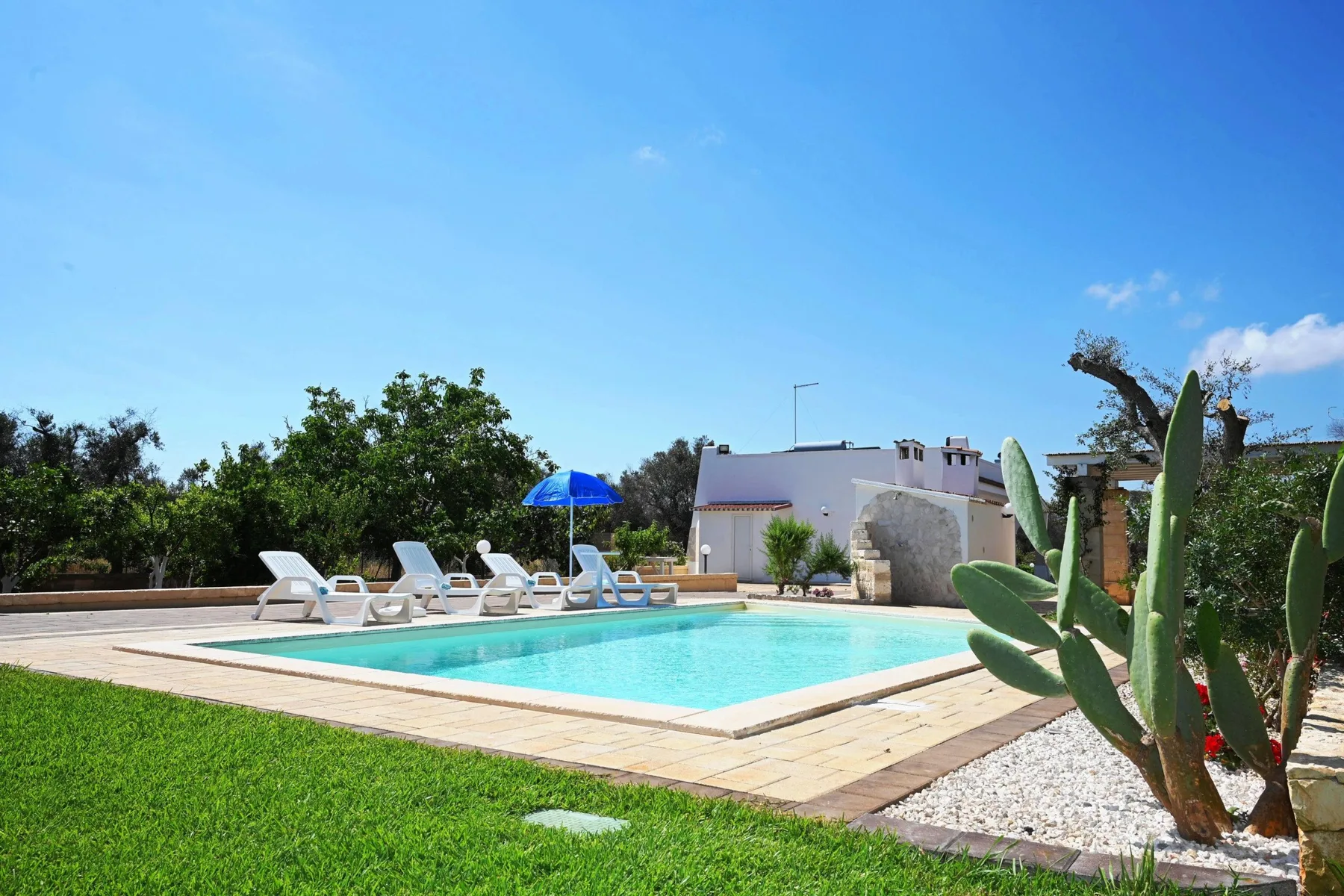 An outdoor swimming pool beside a lawn and rows of lounge seating.