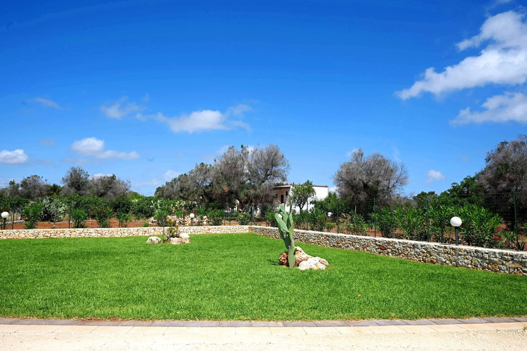 A green lawn and small trees fill a landscaped outdoor garden.