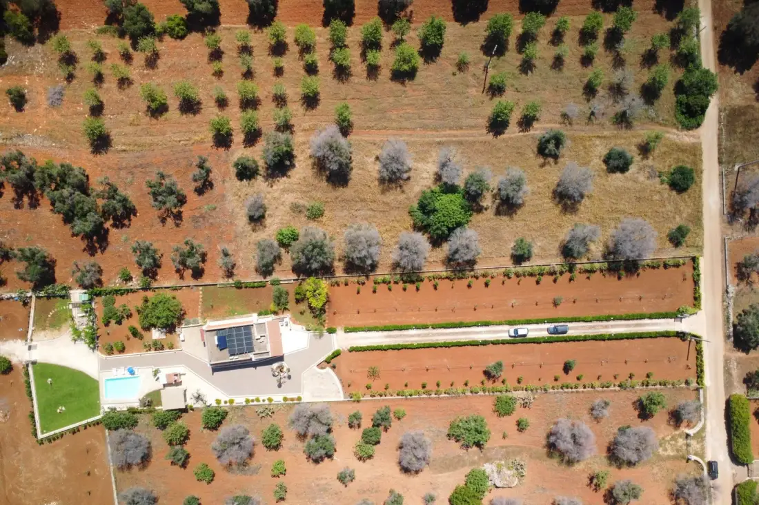 An aerial view of a dry orchard beside a landscaped property with a swimming pool.