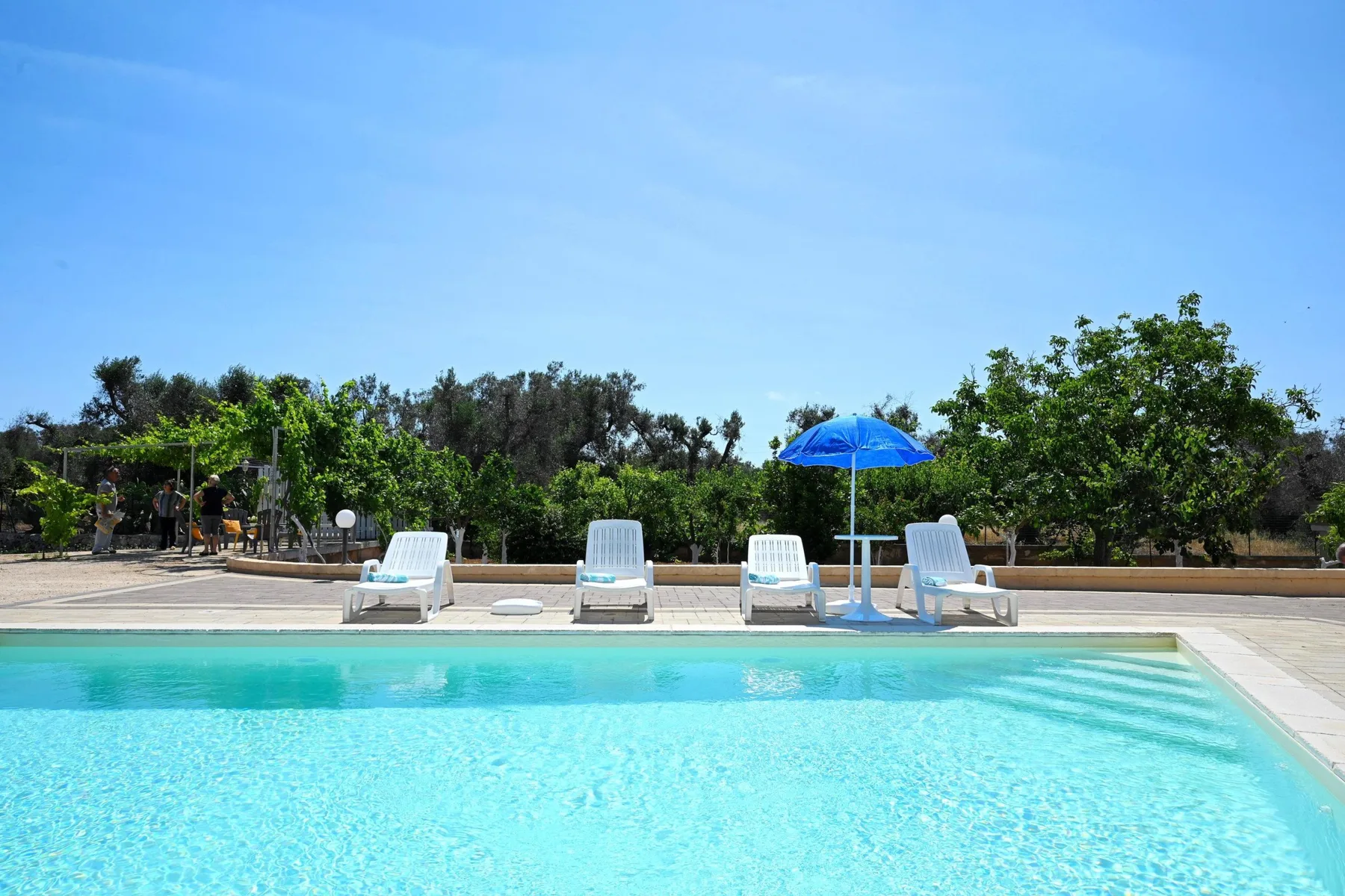 An outdoor swimming pool with lounge chairs and a blue umbrella along the far edge.