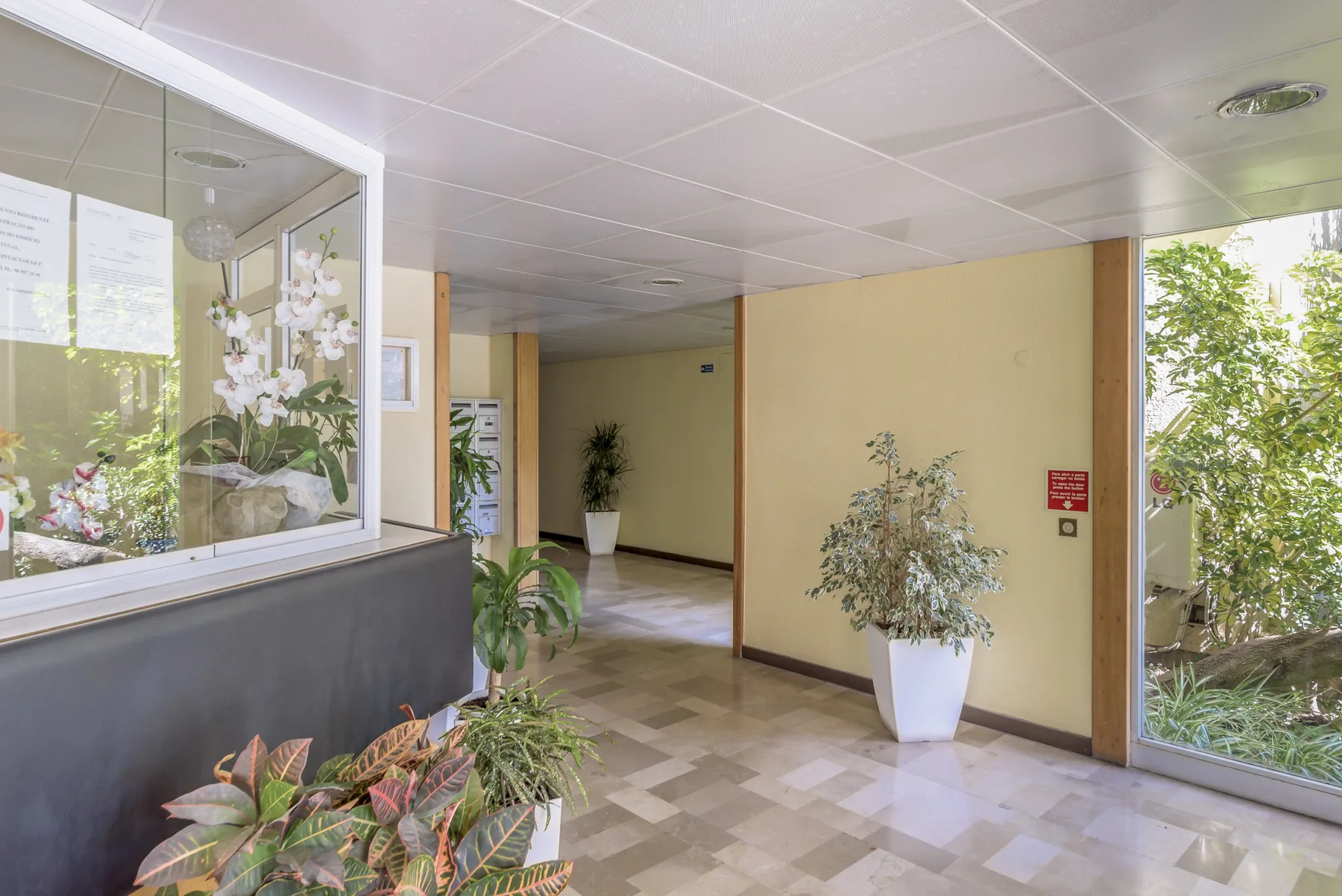 Un vestíbulo interior con suelo de baldosas, plantas y una ventana de cristal.