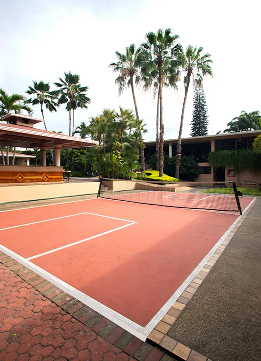 Multipurpose court