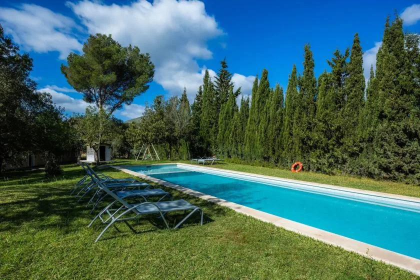Una piscina al aire libre está rodeada de césped, tumbonas y árboles altos.