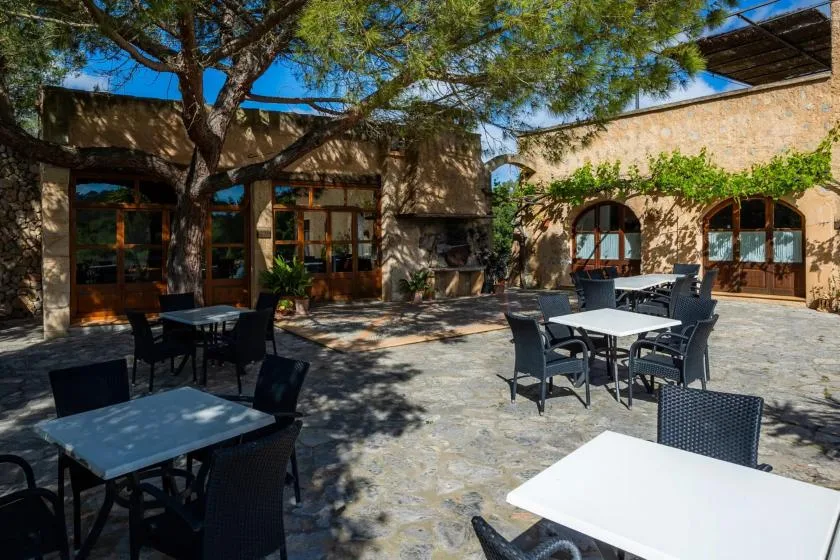 Un patio exterior con mesas y asientos bajo un árbol grande.