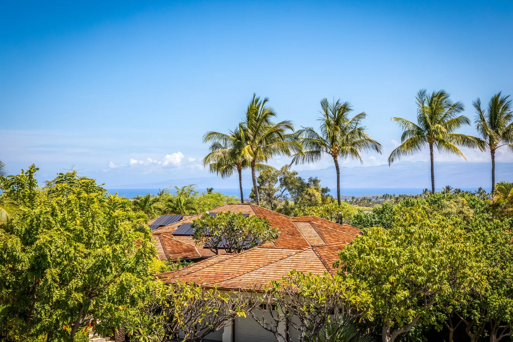 A red-tiled roof sits among lush greenery, with palm trees and the ocean beyond.