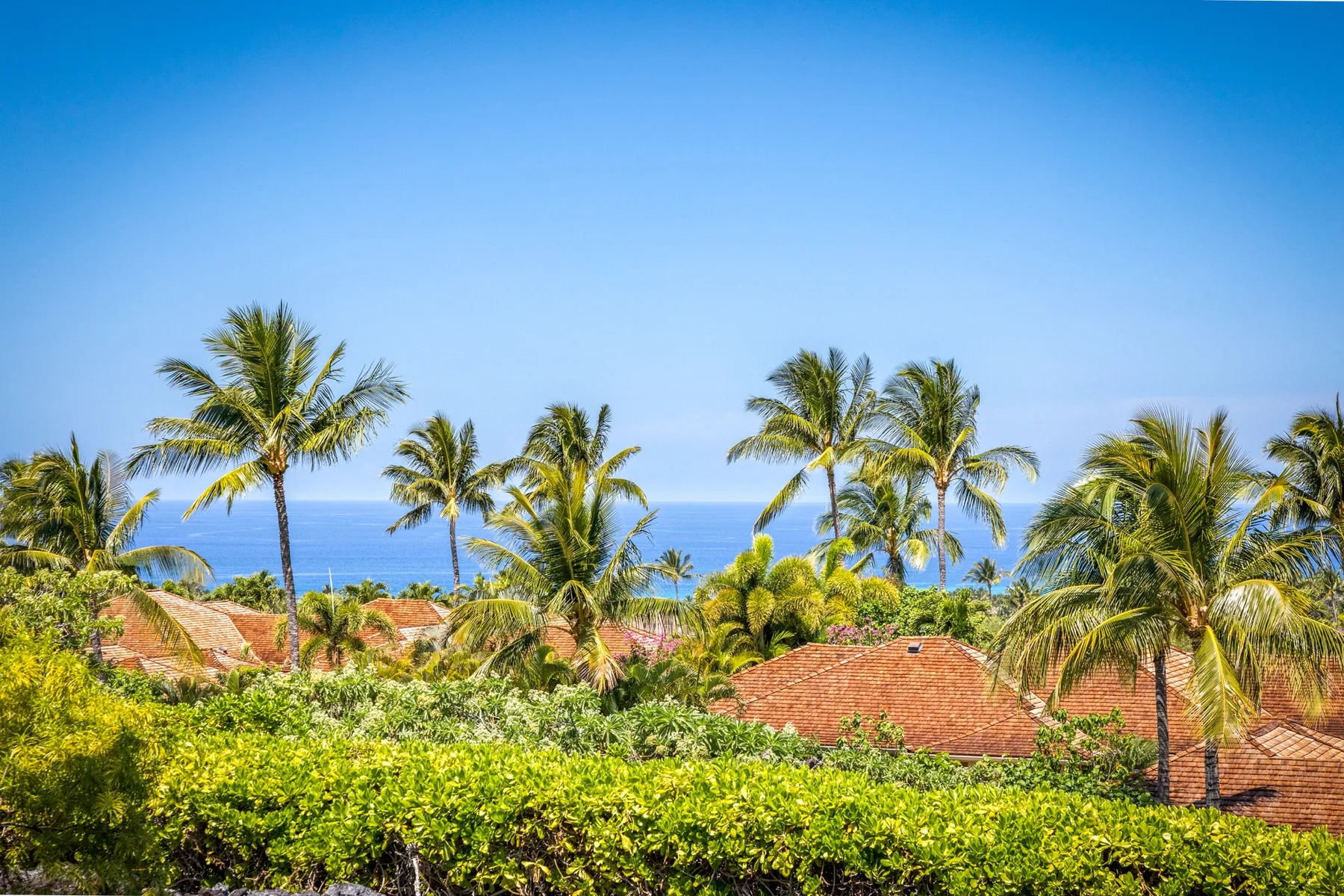 Tropical coastal scene with palm trees, lush greenery, and red-roofed buildings.
