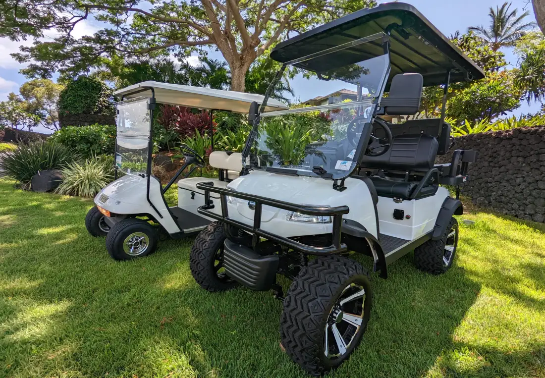 Two golf carts are parked on a grassy lawn beside landscaped greenery.