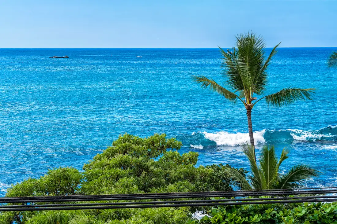 Un paisaje tropical con agua azul, vegetación costera y palmeras.