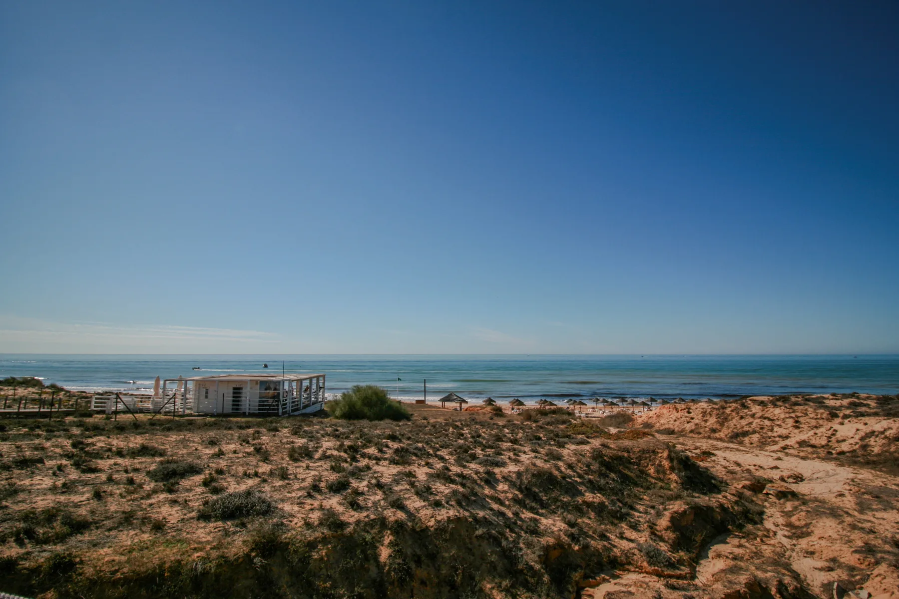 A sandy coastal landscape with low shrubs and the ocean beyond.