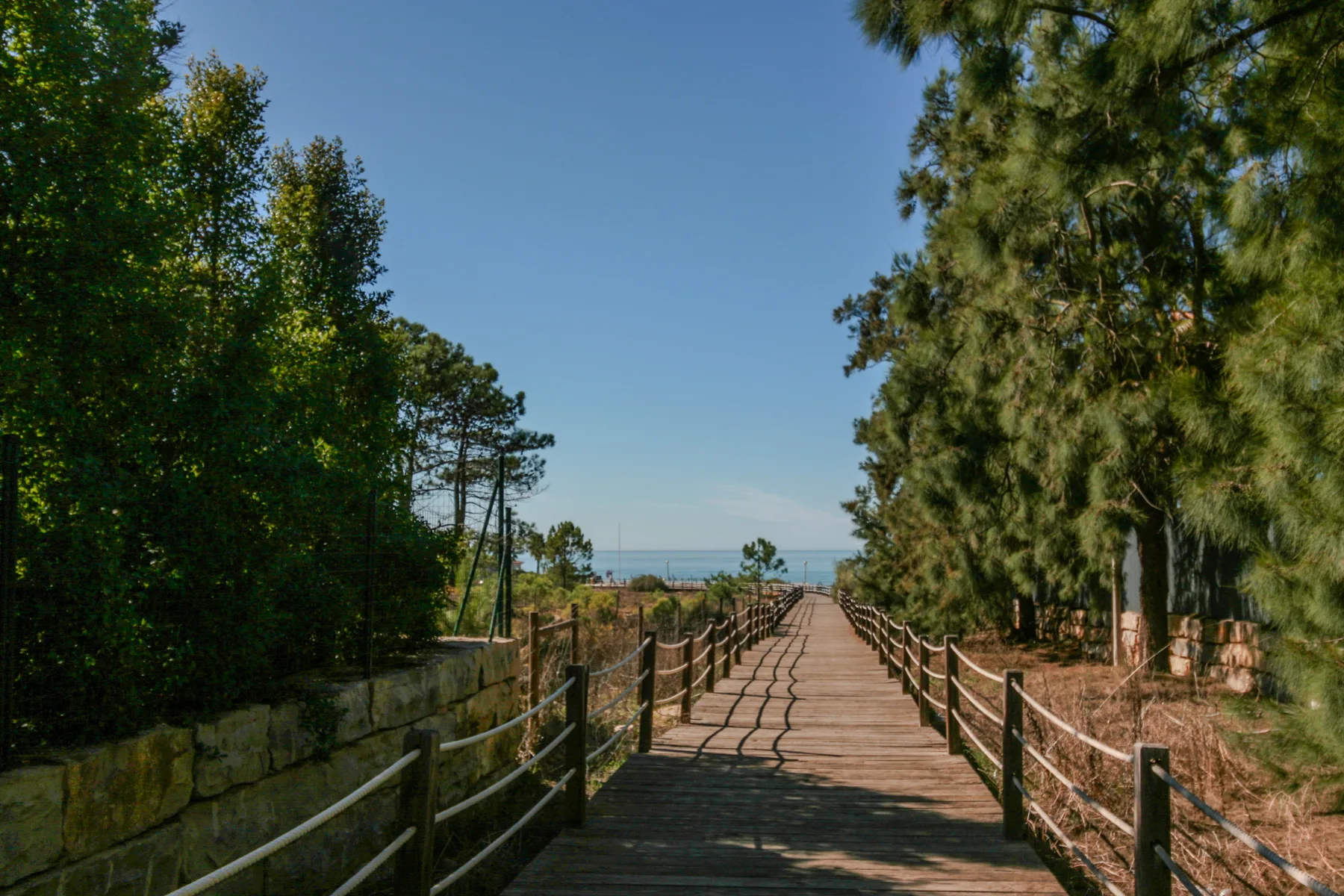 Una pasarela de madera atraviesa los árboles hacia el mar.