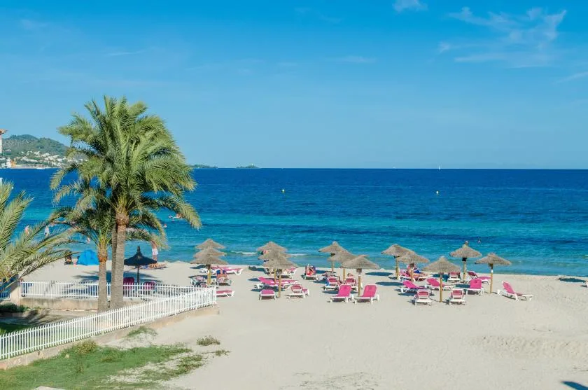 Una playa de arena con filas de tumbonas y sombrillas de paja junto al mar.